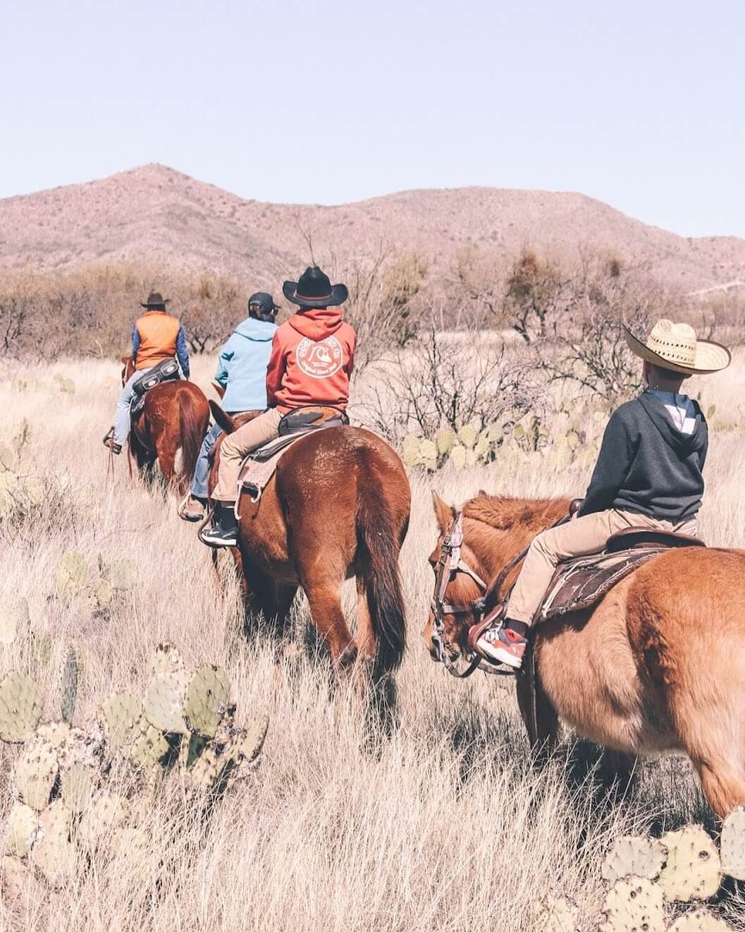 horseback riding in arizona