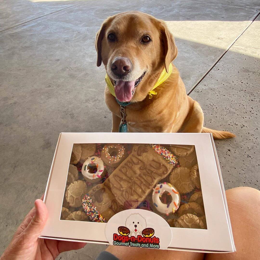 Dogs-n-Donuts pet bakeries in arizona