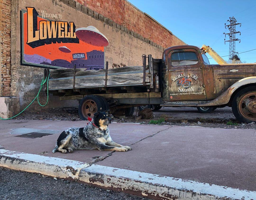 Dogs of Arizona lowell