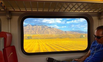 New Mexico train ride view