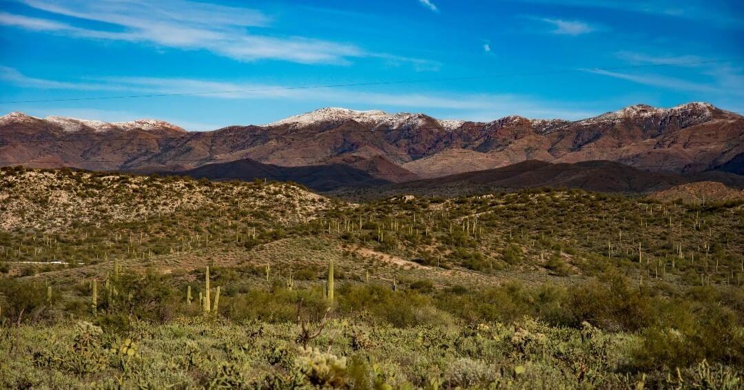 Sonoran Desert arizona