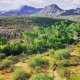 Spur Cross Trail arizona