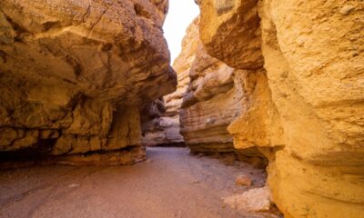 Beautiful landscape along the famous White Owl Canyon trail at Lake Mead, Nevada.
