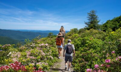 Three hikers walk along a path through blooming rhododendrons and other wildflowers at Craggy Gardens in the Blue Ridge Mountains, with distant mountains under a clear blue sky