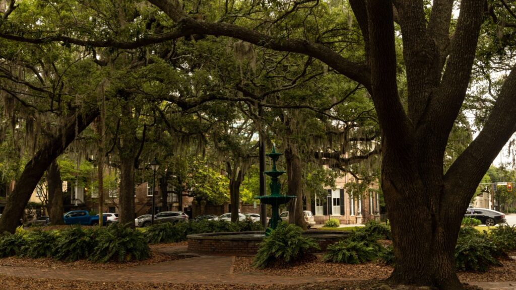 Lafayette Square in Savannah, Georgia, a historic public square known for its beauty and Spanish moss-draped oak trees.
