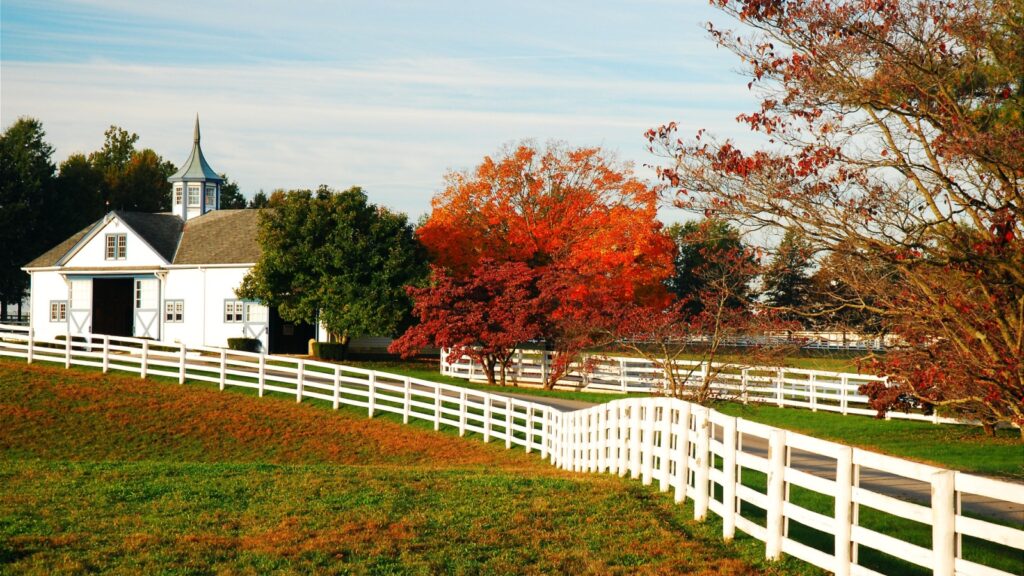 A white barn with a cupola, a vibrant red tree, and a white fence in an autumn landscape.
